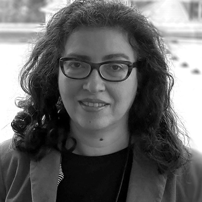 Amira Shehatová